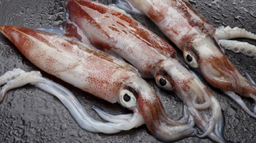 比特派官网下载